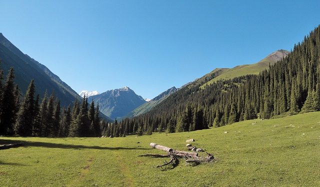 Valle de Altyn-Arashan. Presioso.